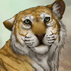 custom by #16934: A Bengal Tiger with a gorgeous golden coat.
